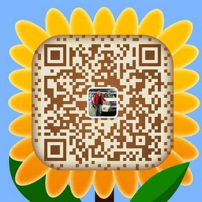2016款雷克薩斯5700 凌志現(xiàn)車0首付分期-圖8
