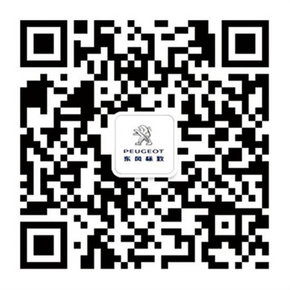 湖州致诚东风标致508