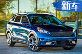 起亚极睿纯电版首曝 明年亮相/续航334公里