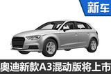 奥迪新款A3混动版将上市 百公里仅需1.6L