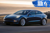 特斯拉Model3新车方向盘异响！网友吐槽像驴叫