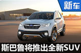 斯巴鲁将推出全新SUV  与途观同级（图）