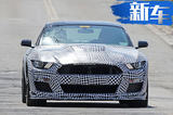 福特全新Mustang Shelby GT500 明年正式亮相