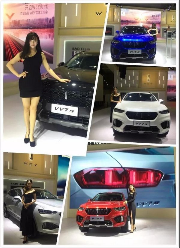 第十八届武汉国际汽车展览会 VV5s上市-图9
