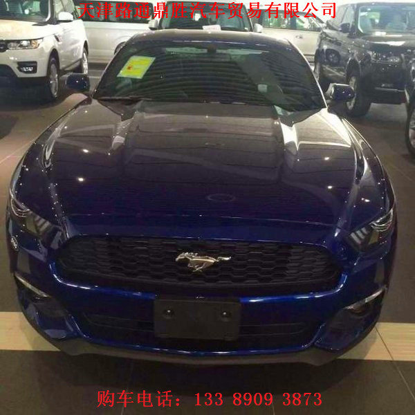 16款福特野馬現(xiàn)車狂降 繽紛超跑賽道裝點-圖3