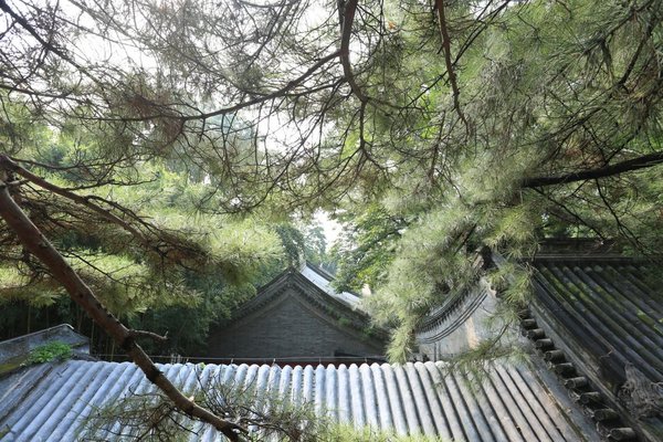 探寻北京古老寺院 体验京秋最美自驾之旅-图2