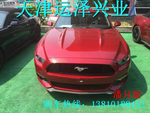 16款福特野馬美規(guī)版 津港29萬提經(jīng)典跑車-圖2