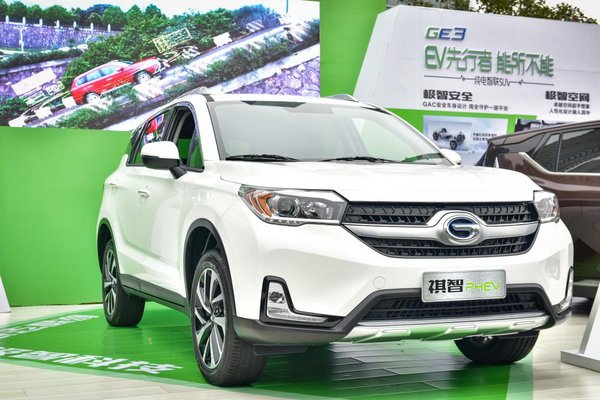 湖南新能源汽车产业创新与发展峰会召开-图6