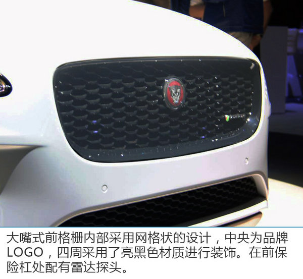 实拍捷豹全新SUV E-PACE 明年在华国产-图5