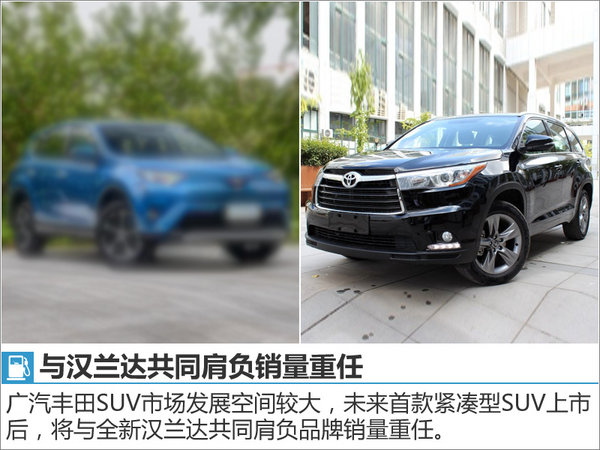 丰田将投产“缩小版”汉兰达 竞争本田CR-V-图5