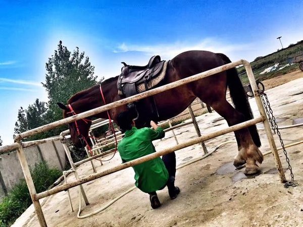 纵享生活 合肥广汽丰田汉兰达马术体验营-图6