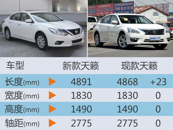 东风日产全新中型车将上市 车身加长-图-图3
