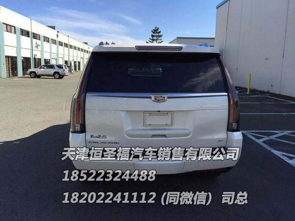 凱迪拉克總統(tǒng)一號(hào)加長(zhǎng)版5.98米 國(guó)內(nèi)一臺(tái)-圖7