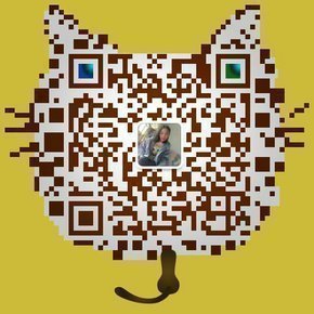 2017款丰田普瑞维亚 精品大霸王抢眼降价-图9
