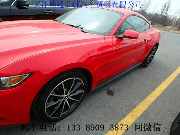 16款福特野馬現(xiàn)車狂降 繽紛超跑賽道裝點-圖2
