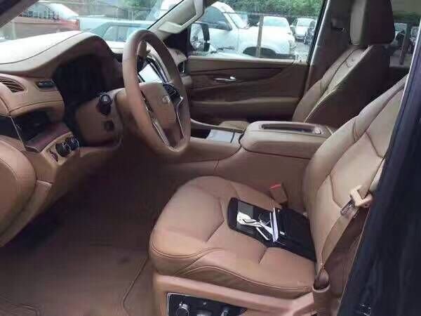 凯迪拉克凯雷德铂金版 专属座驾刷新底价-图10