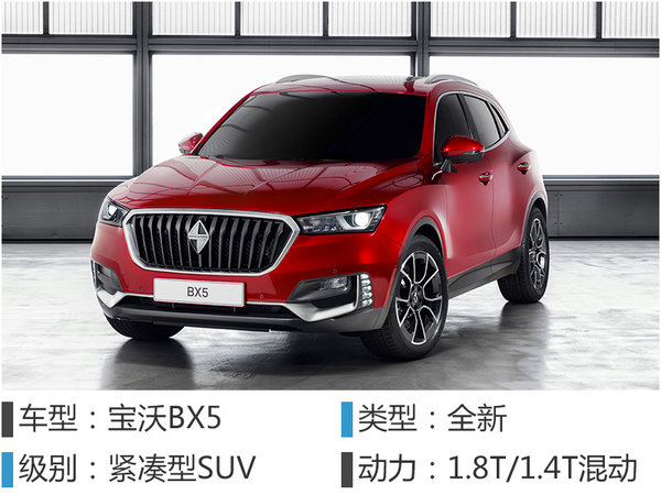 宝沃订单量超1.8万 全新SUV将公布预售价-图4