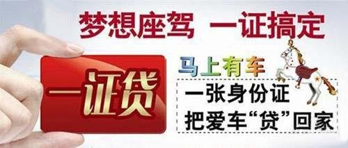 收入证明_买车的收入证明(3)