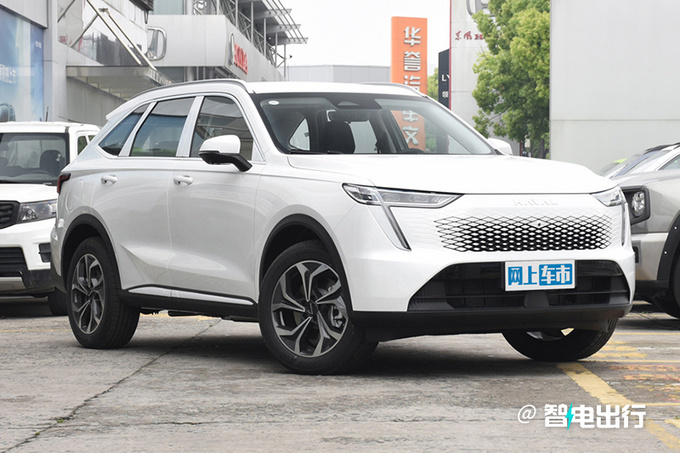 哈弗全新硬派SUV 或定名翔龙 下半年上市-图2