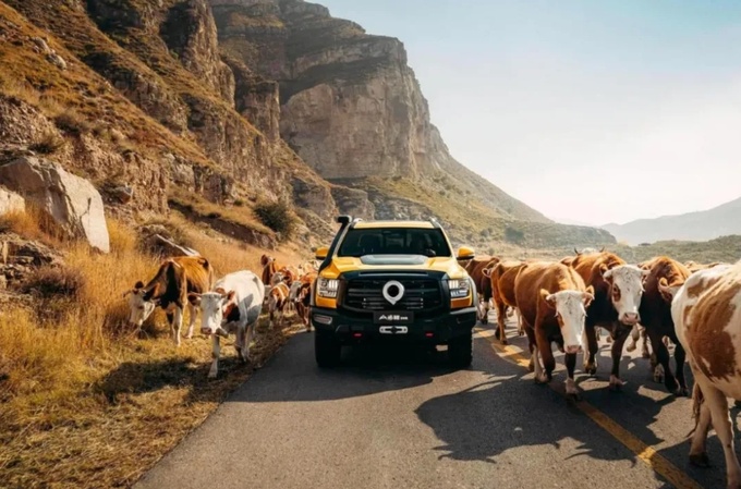 老外比国人还爱研究国产车自主品牌出口到底有多强-图5