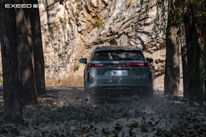 关于星途瑶光飞鱼版你必须知道的5件事-图8