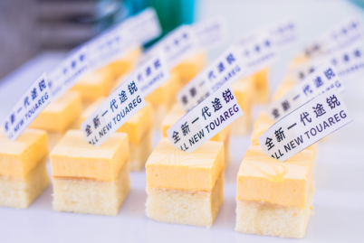 全新一代途锐湖南上市发布会-图4