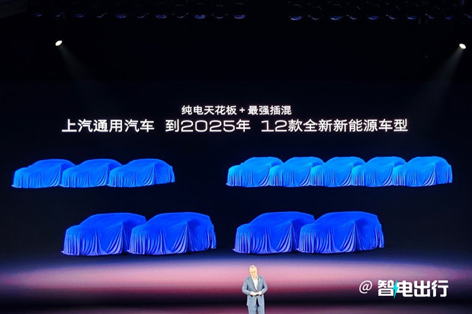 上汽通用发12款新电车纯电GL8将上市-配置提前曝光-图2