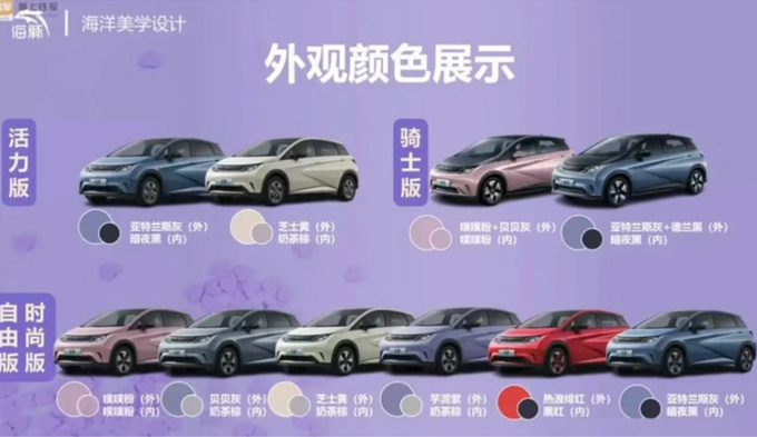 降X万比亚迪新海豚售XX-XX万 增入门版-图6
