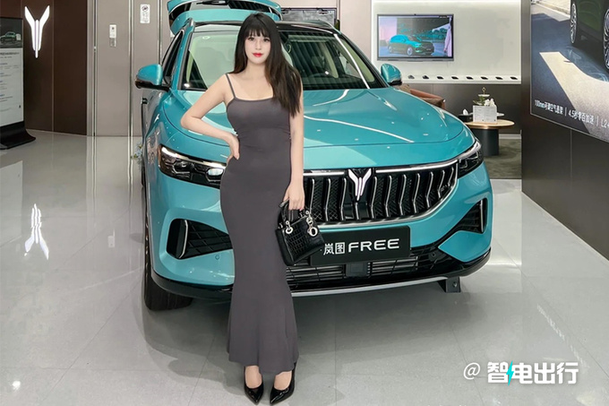 岚图新中型SUV或10月上市主打20万级 竞争Model Y-图1