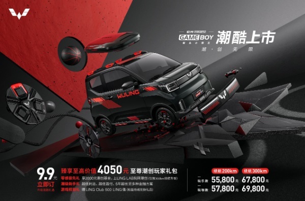 销量腰斩宏光MINI EV跌落神坛定价失误成主因-图3