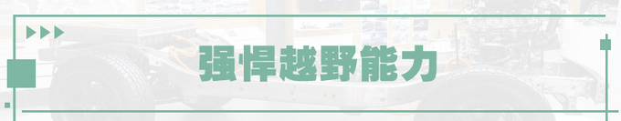 电动化当道长城为何逆势推出3.0T动力总成-图5