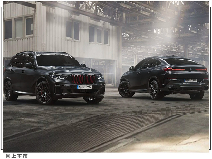 宝马X5/X6将推限量版车型入门搭3.0T/内饰更豪华-图3