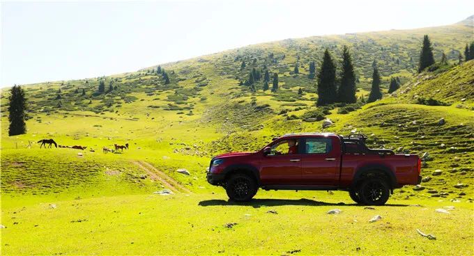 9月皮卡终端销售24917辆同比增长2.8-图12