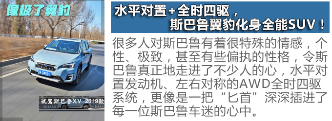 雪地行駛如履平地斯巴魯這三款SUV怎么做到的-圖3