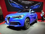Stelvio 四叶草