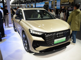 奥迪Q4 Etron 金色