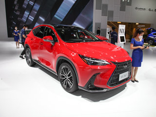 雷克萨斯 NX 260 红色
