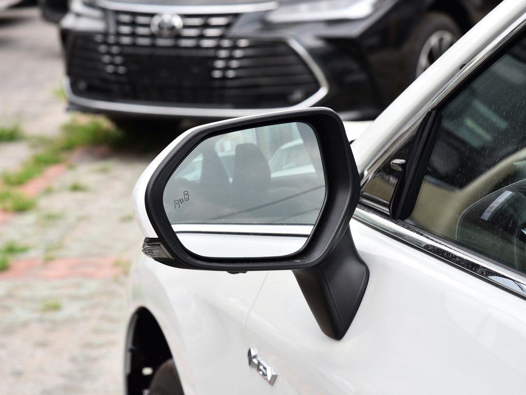 亚洲龙 图片