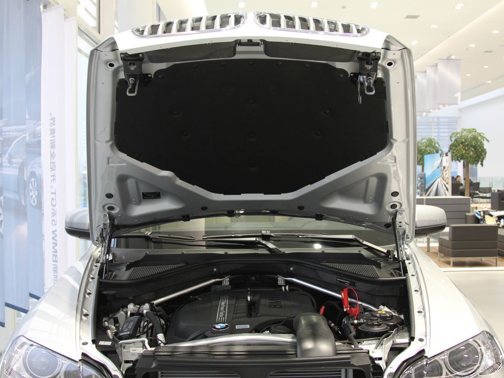 宝马X5(进口) 2011款 xDrive35i 领先型图片