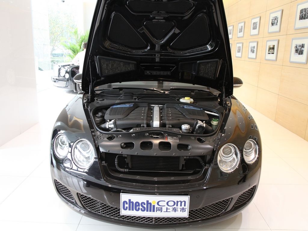 欧陆 2010款 6.0 AT SPEED极速版图片