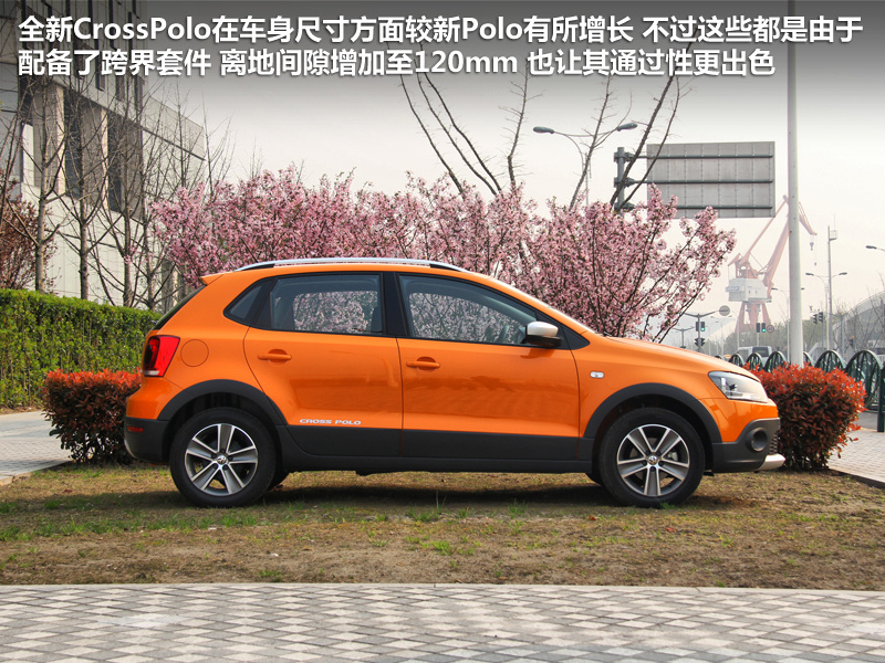 Polo 图片