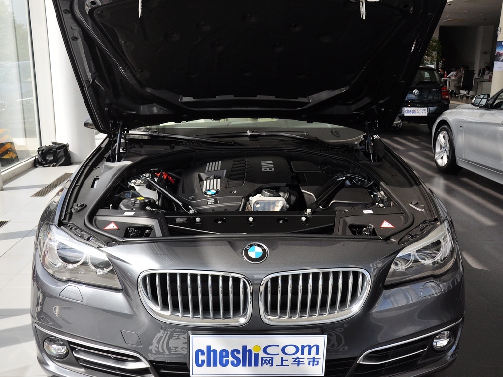 宝马5系 530Li 豪华设计套装 2014款图片