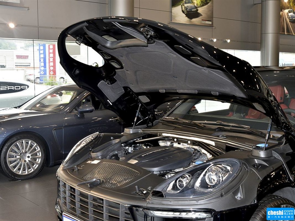 Macan 图片