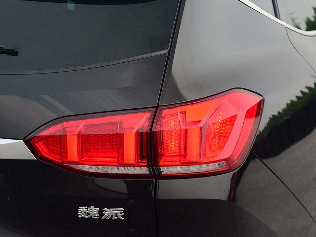 魏牌 VV6 图片