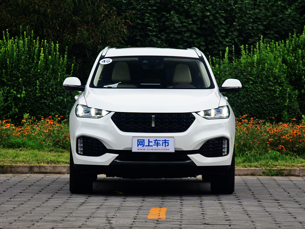 魏牌 VV6 图片
