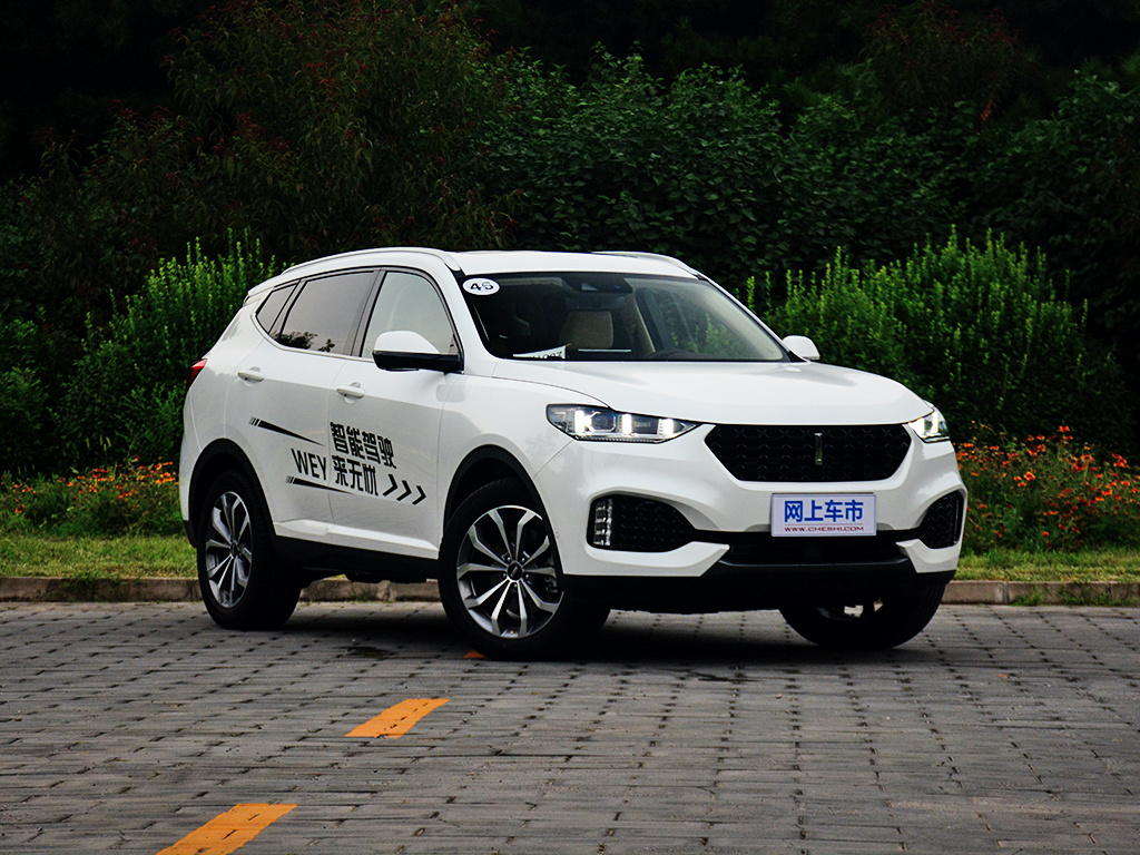 魏牌 VV6 图片