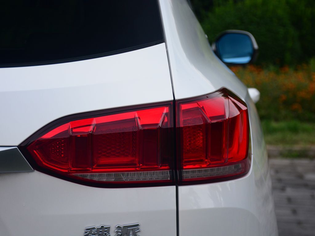 魏牌 VV6 图片