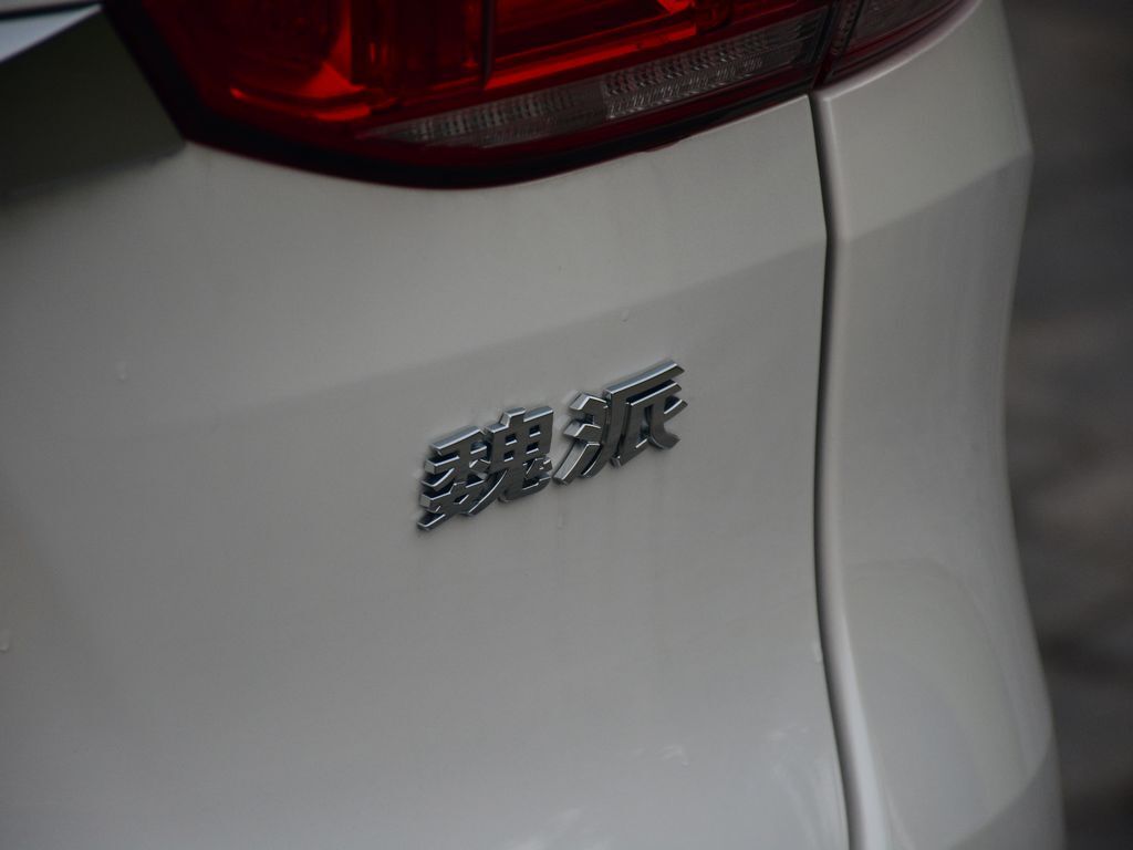 魏牌 VV6 图片