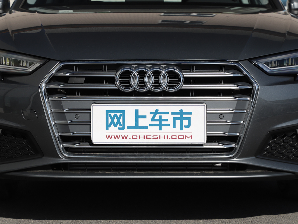 奥迪A4(进口) 图片