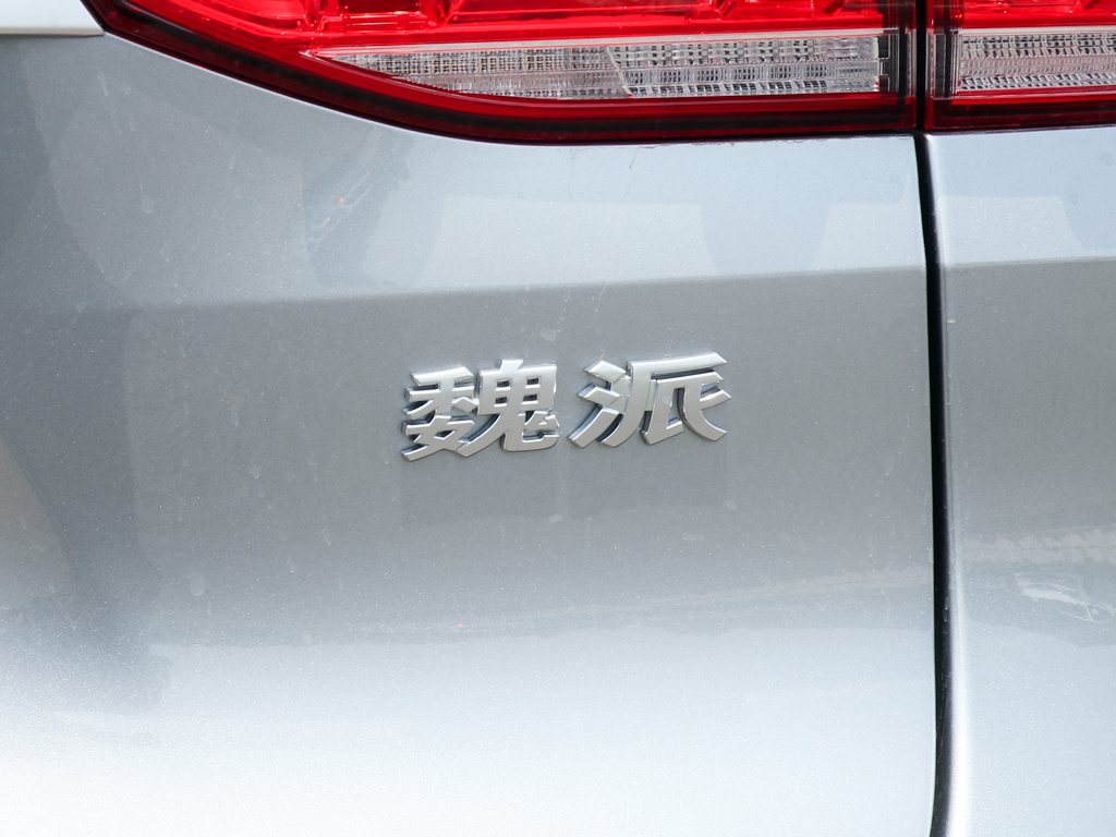 魏牌 VV6 图片